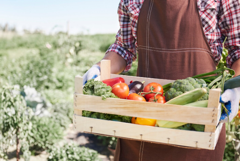 X5 расширяет сеть агроагрегаторов: новый центр поддержки фермеров открыт в Ульяновской области